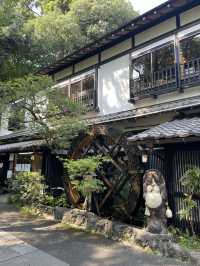 【東京】SNSで話題沸騰中！人気の避暑地🌱