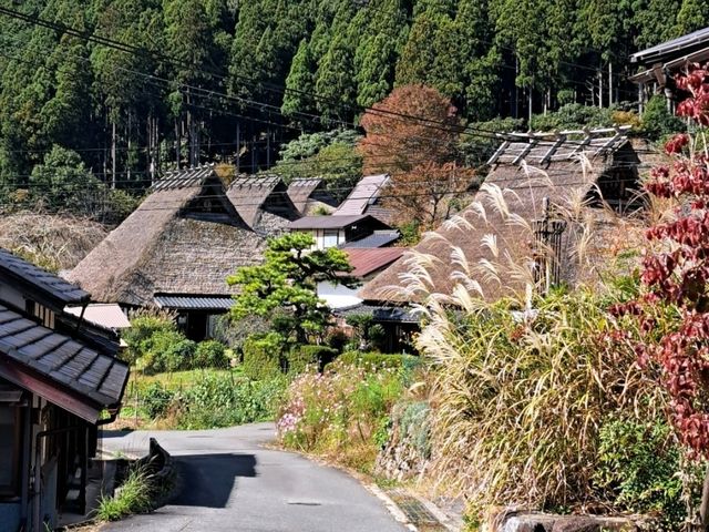 京都｜森林裡的合掌村落〔美山町〕