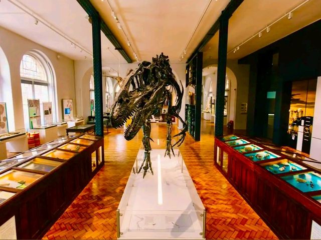 Lapworth Museum of Geology – A Journey Through Earth’s History