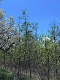 L’Amoreaux North Park – A Peaceful Urban Escape in Toronto