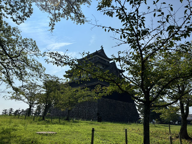 松江城天守 外觀之美 鯱與花頭窓的優雅守護✨🐟 松江城天守 外觀之美 鯱與花頭窓的優雅守護✨🐟