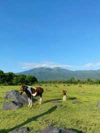 Padang Savana Tianyar in Bali