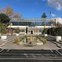 Domain Wintergardens (Auckland) 🌸