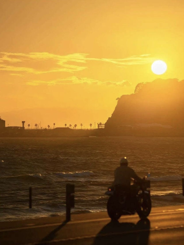 🗼 From Tokyo Buzz to Kamakura Calm: A Perfect Day in Japan 🇯🇵