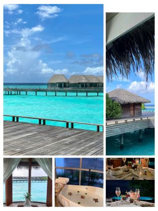 #maldiveshotel
🌴🐚 Milaidhoo Island – A Boutique Maldivian Paradise 🐚🌴

Tucked away in the UNESCO Biosphere Reserve of Baa Atoll, Milaidhoo Island is a luxury boutique resort designed for romance, relaxation, and authentic Maldivian charm. With just 50 villas, it offers an intimate and personalized escape 🌊✨.

✨ Highlights

🌅 Spacious villas with private pools, outdoor decks, and direct lagoon or beach access.

🍴 Unique dining, including a restaurant shaped like a traditional Maldivian dhoni.

🐢 Incredible snorkeling and diving in the Baa Atoll, near Hanifaru Bay (famous for manta rays).

🌿 Wellness and spa experiences over the water with ocean views.

🛶 Activities like sunset dolphin cruises, sandbank picnics, and cultural Maldivian experiences.

👩❤️👨 Adults-focused – perfect for couples and honeymooners.


📍 Location: Baa Atoll, Maldives (seaplane from Malé ~35 minutes).
🎟️ Price Range: High-end boutique luxury.
🕒 Best Time to Visit: May – November for manta rays at Hanifaru Bay, December – April for crystal-clear sunny days.
🚤 How to Reach: Scenic seaplane transfer with breathtaking views.

💡 Milaidhoo is not just about luxury—it’s about living the Maldivian story, where every detail is rooted in culture, nature, and barefoot bliss 🌺.

#MilaidhooIsland #BaaAtoll #MaldivesLuxury #IslandRomance #MaldivesResort #HanifaruBay #BoutiqueLuxury #TropicalEscape #BarefootLuxury
#naturalwonders #couplestrip #travel 