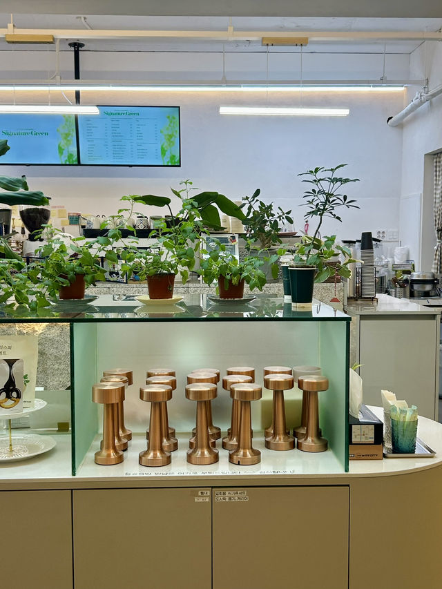 초록과 함께 편안한 시간 💚 초록과 함께 편안한 시간 💚