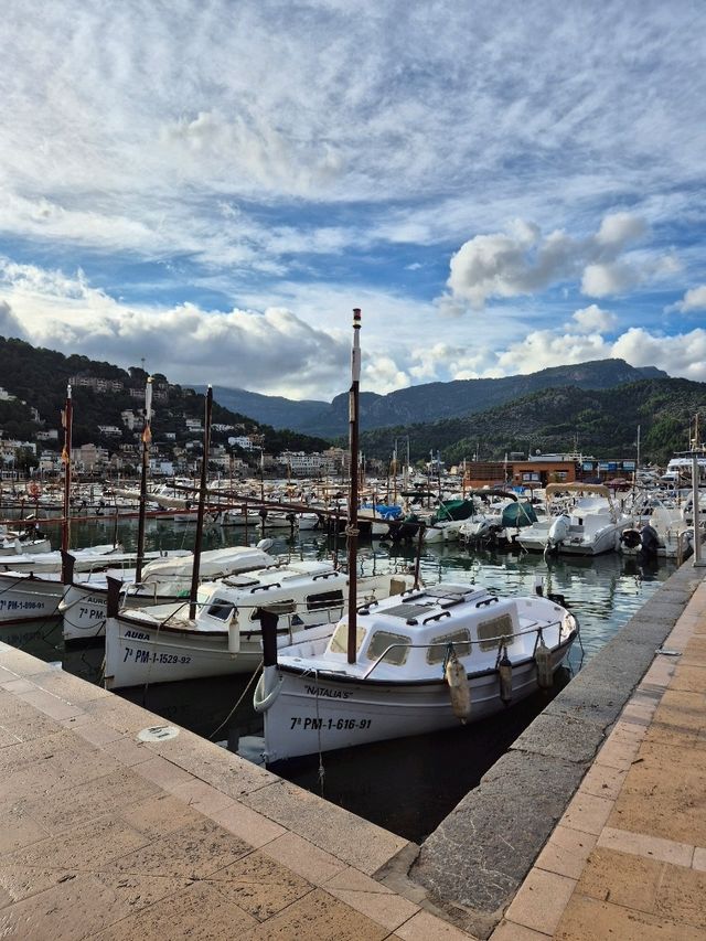 ⛵ 마요르카여행, 황홀한 풍경이 펼쳐지는 Sóller 항구 ⛵