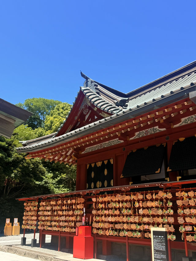 鐮倉｜不只櫻花季絕美 在荷花最美季節造訪鶴岡八幡宮