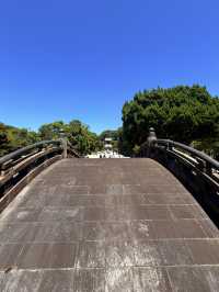 鐮倉｜不只櫻花季絕美 在荷花最美季節造訪鶴岡八幡宮