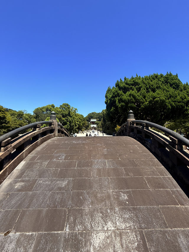 鐮倉｜不只櫻花季絕美 在荷花最美季節造訪鶴岡八幡宮