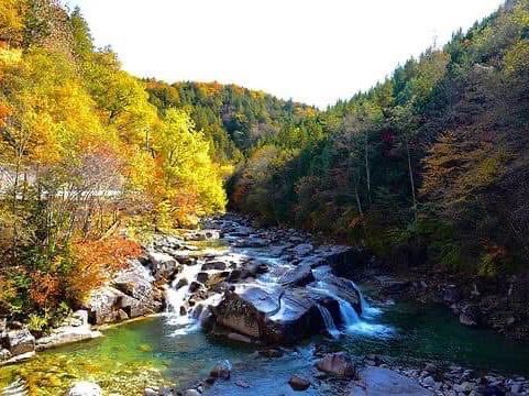 🌲 Akasawa Natural Recreational Forest – One of Japan’s Most Beautiful Forests 🌲
