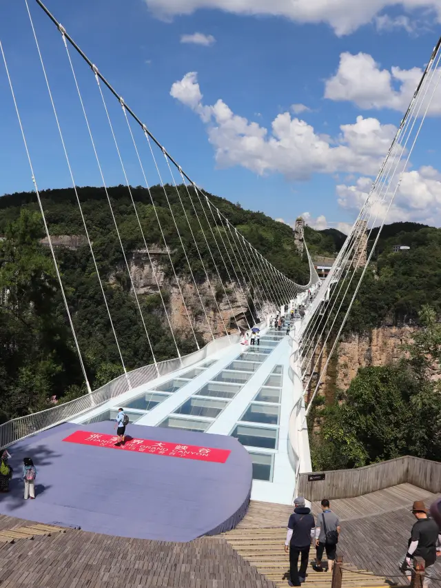 장가계 대협곡 유리다리 여행기 🌉