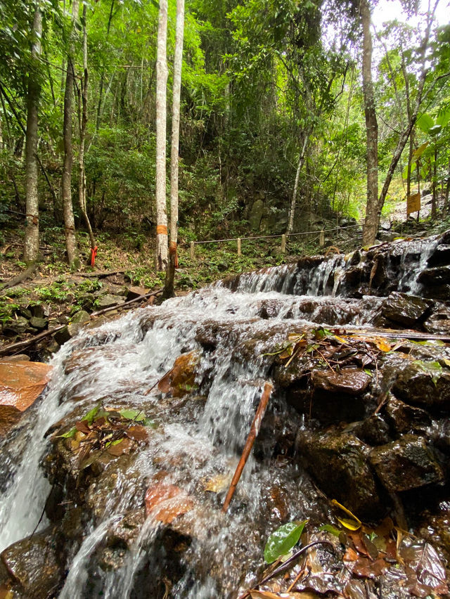 หมู่บ้านแม่กำปอง เชียงใหม่⛰️