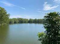 Paya Indah Wetlands