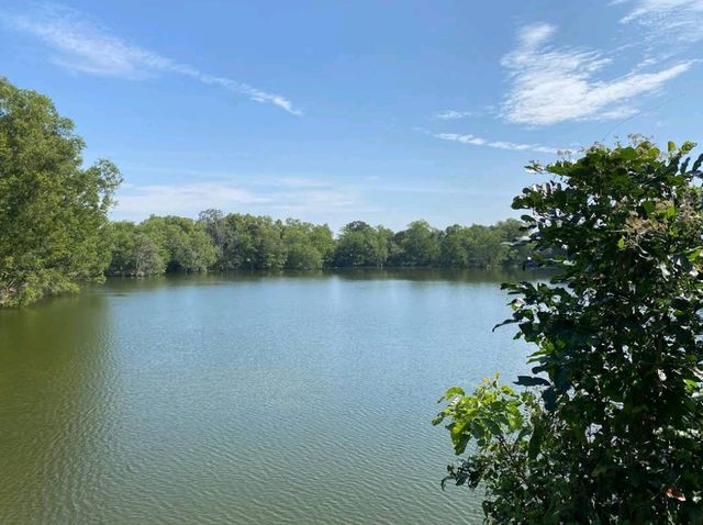 Paya Indah Wetlands