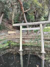 絶景神社と名園巡り♪茨城ドライブ旅