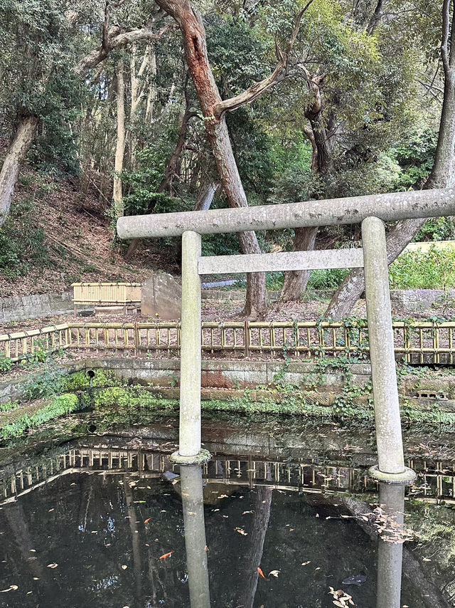 絶景神社と名園巡り♪茨城ドライブ旅