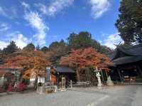 秋日金黃的淺間神社