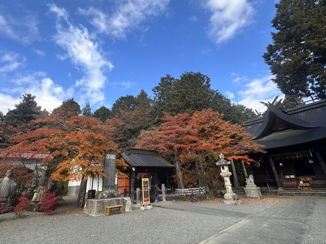 秋日金黃的淺間神社