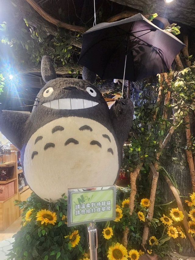 龍貓玩偶打卡指南室內治癒感爆棚🌻