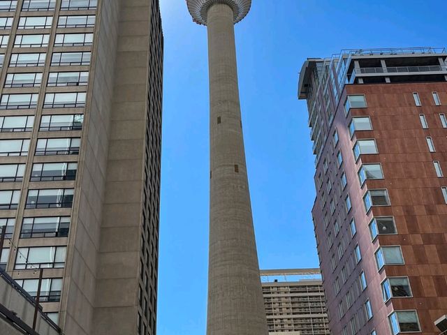 Urban Oasis Urban Oasis