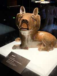 Xiang Yang Museum—free to visit🤩