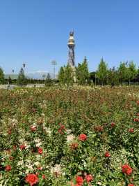🏛️ City Walk Through Dushanbe, Tajikistan