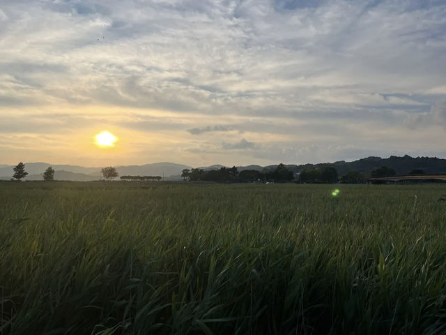 Suncheon Bay Nature Reserve