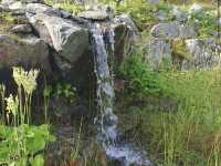 Arctic–Alpine Botanic Garden