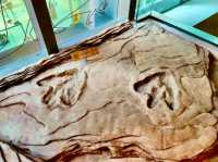 Stephen Hui Geological Museum — Explore Earth’s Ancient Secrets