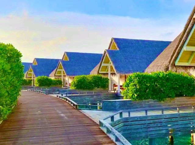 Milandhoo Island Maldives Hotel – A Hidden Gem for Peace Seekers
