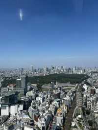 Shibuya Sky Tokyo: Stunning Views and Perfect Photo Lighting on a Sunny Day