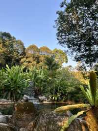 🌳都会のオアシスで深呼吸|Perdana Botanical Garden(ペルダナ植物園)