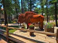 🐻 Bearizona Wildlife Park – A Wild Adventure in Williams, Arizona