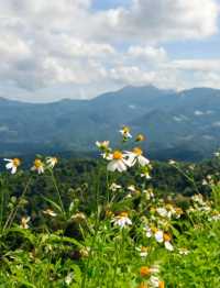 ไปหาสมศรี@ภูทัพฟ้า 360 องศา จ.แพร่