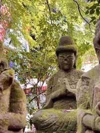 🌸 Nanzoin Temple — Serenity, Hydrangeas, and the Great Reclining Buddha