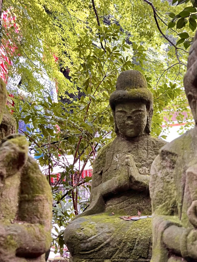 🌸 Nanzoin Temple — Serenity, Hydrangeas, and the Great Reclining Buddha