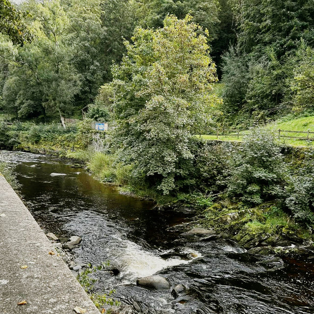 Solo in a Storybook: A Fairytale Day in Monschau