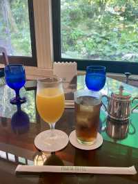 🏰 Timeless Elegance at Fujiya Hotel, Hakone