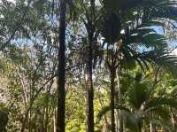 Sir Seewoosagur Ramgoolam Botanical Garden