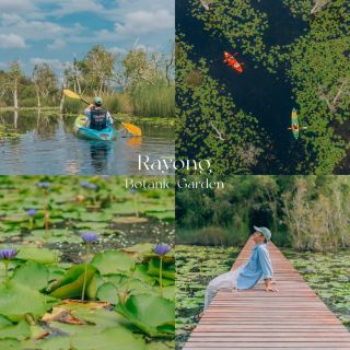 Kayaking at Rayong Botanical Garden 🚣🏻‍♀️🌳