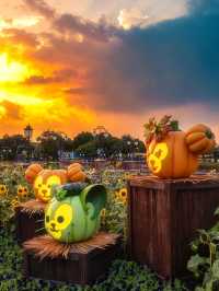 ! 🎃 ชุดฮาโลวีน - ฟักทอง  Seven Treasures ริมทะเล
