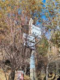 The Temple of Queen Mother of the West: A Distant Fairyland