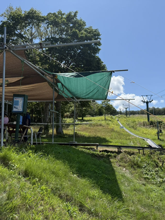 北海道秘境!天狗山展望台絕景+超萌花栗鼠親密接觸 北海道秘境!天狗山展望台絕景+超萌花栗鼠親密接觸
