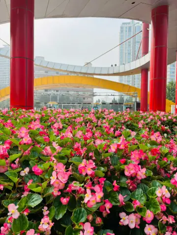 住进北京朝阳，出門是公園，轉角是北京味道