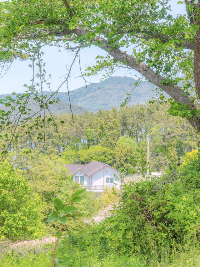 거제의 오션뷰를 담은 대형카페 “오송웨이브”🤍🌿
