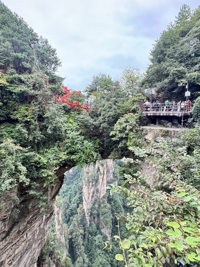 🌄 Zhangjiajie National Forest Park Travel Guide | Avatar Mountains in Real Life 🌄 Zhangjiajie National Forest Park Travel Guide | Avatar Mountains in Real Life