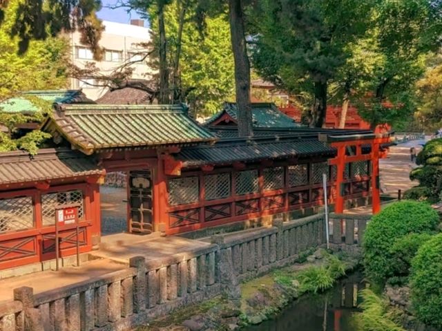 🌸 Nezu Shrine – A Serene Escape in Tokyo’s Old Neighborhood
