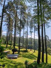 Orchid Forest Cikole: A Nature Escape