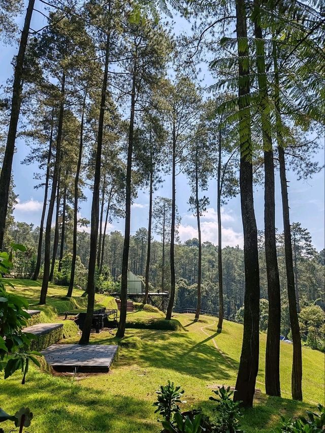 Orchid Forest Cikole: A Nature Escape Orchid Forest Cikole: A Nature Escape